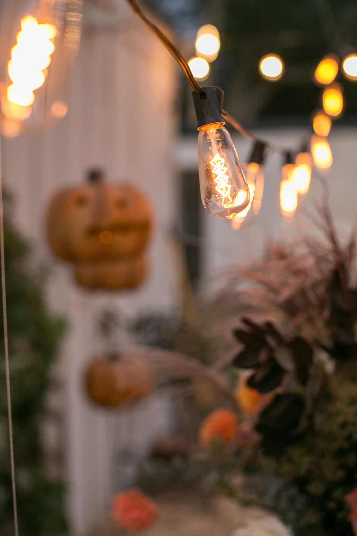 market lights dimmed at a Halloween party