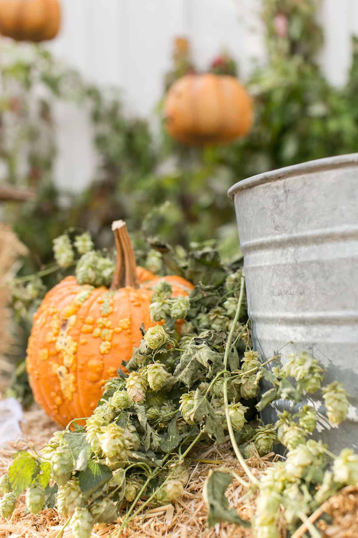 Spooky Halloween pumpkin 