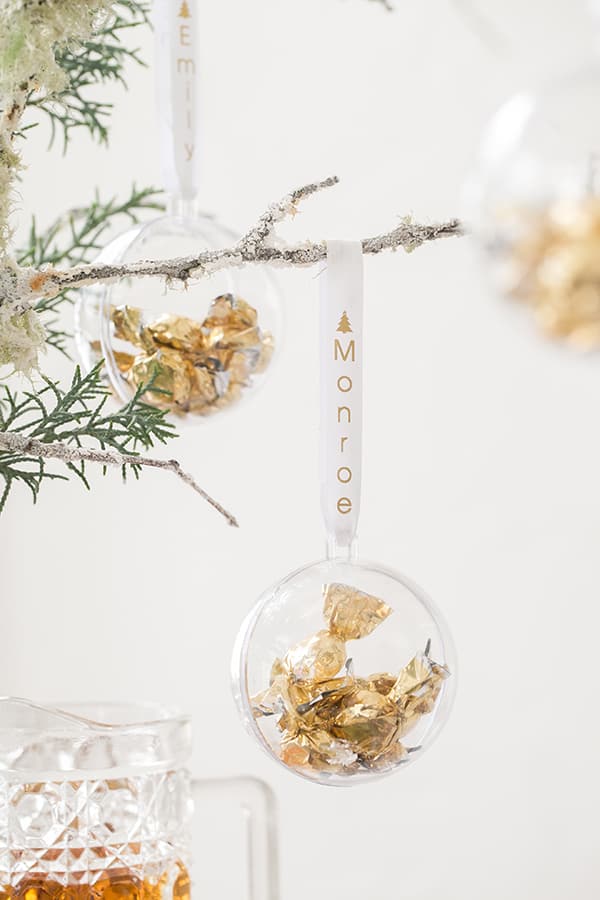 shot of bauble hanging fro a branch 