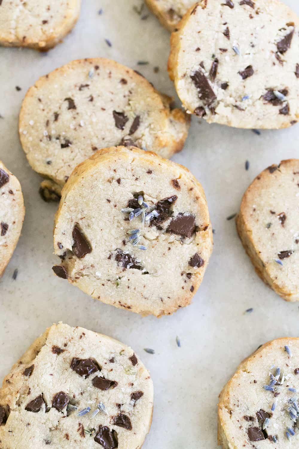 lavender and chocolate cookies, made from cookie mix in a jar