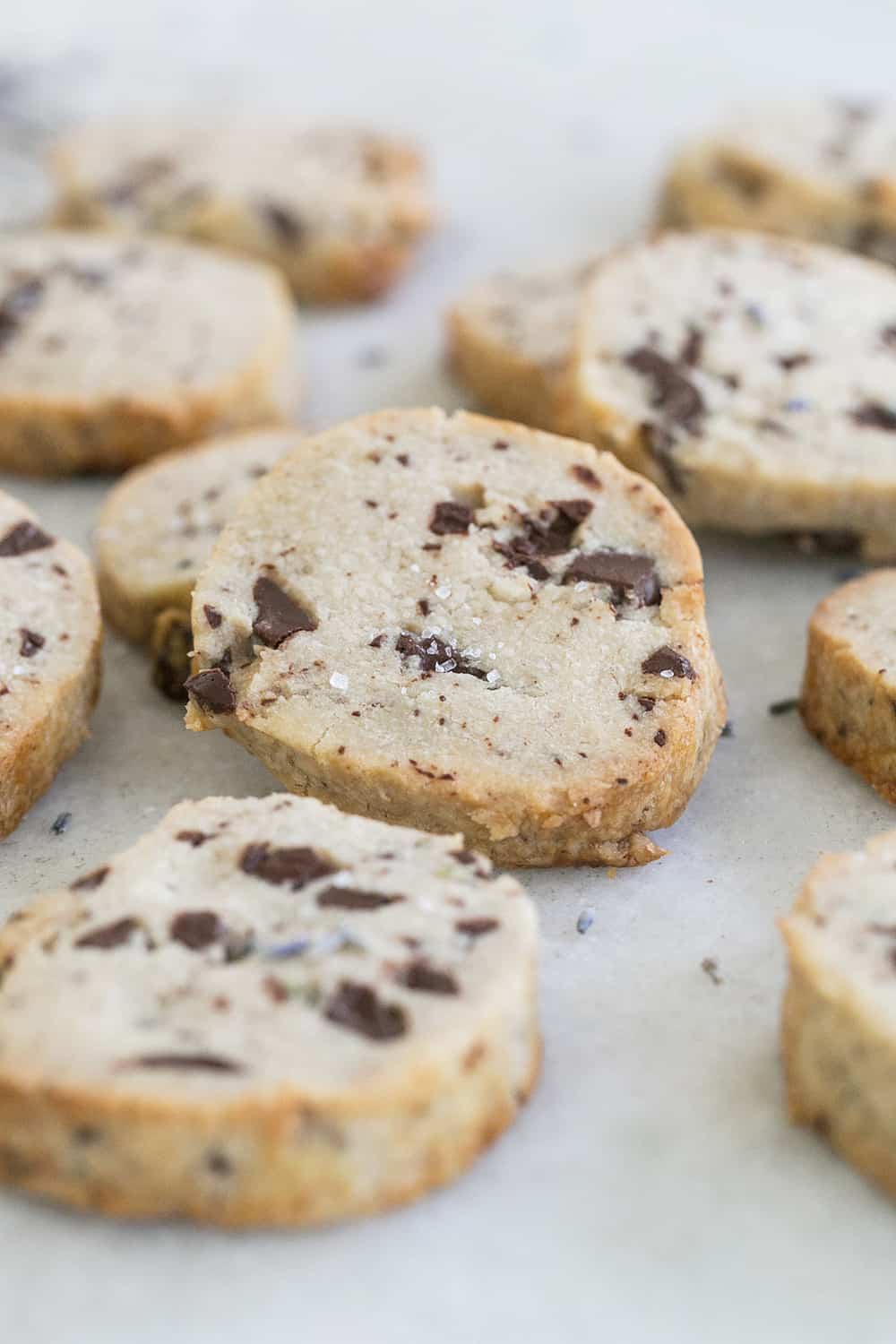 close up of chocolate lavender cookies