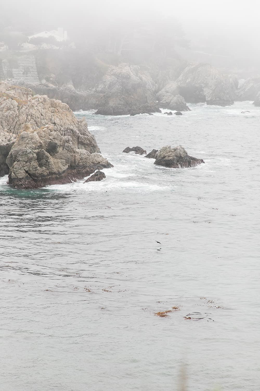 Rocky ocean and cliffs