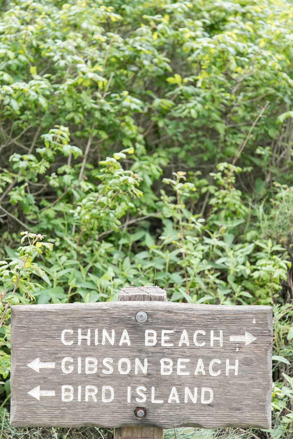 wooden beach sign that sign china beach, gibson beach and bird beach