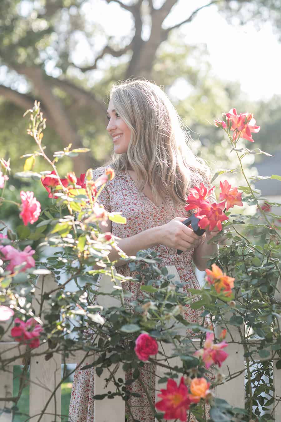 Eden Passante clipping roses in her garden