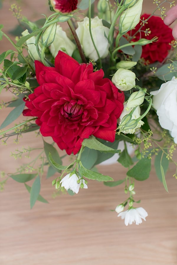 Beautiful red flower with greens