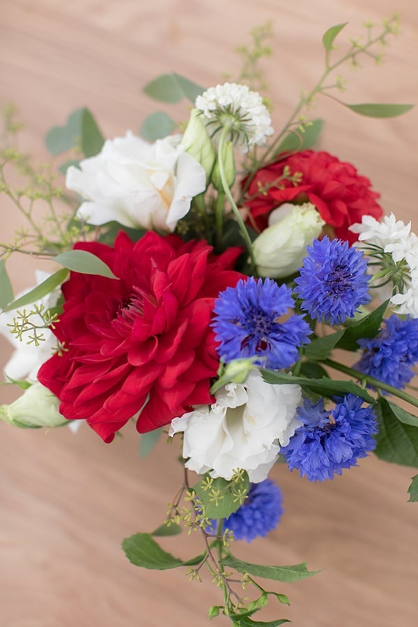 Beautiful red, white and blue flowers