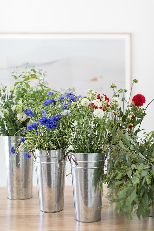 Red, white and blue flowers for the 4th of July.