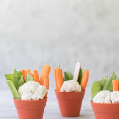vegetable and hummus pots