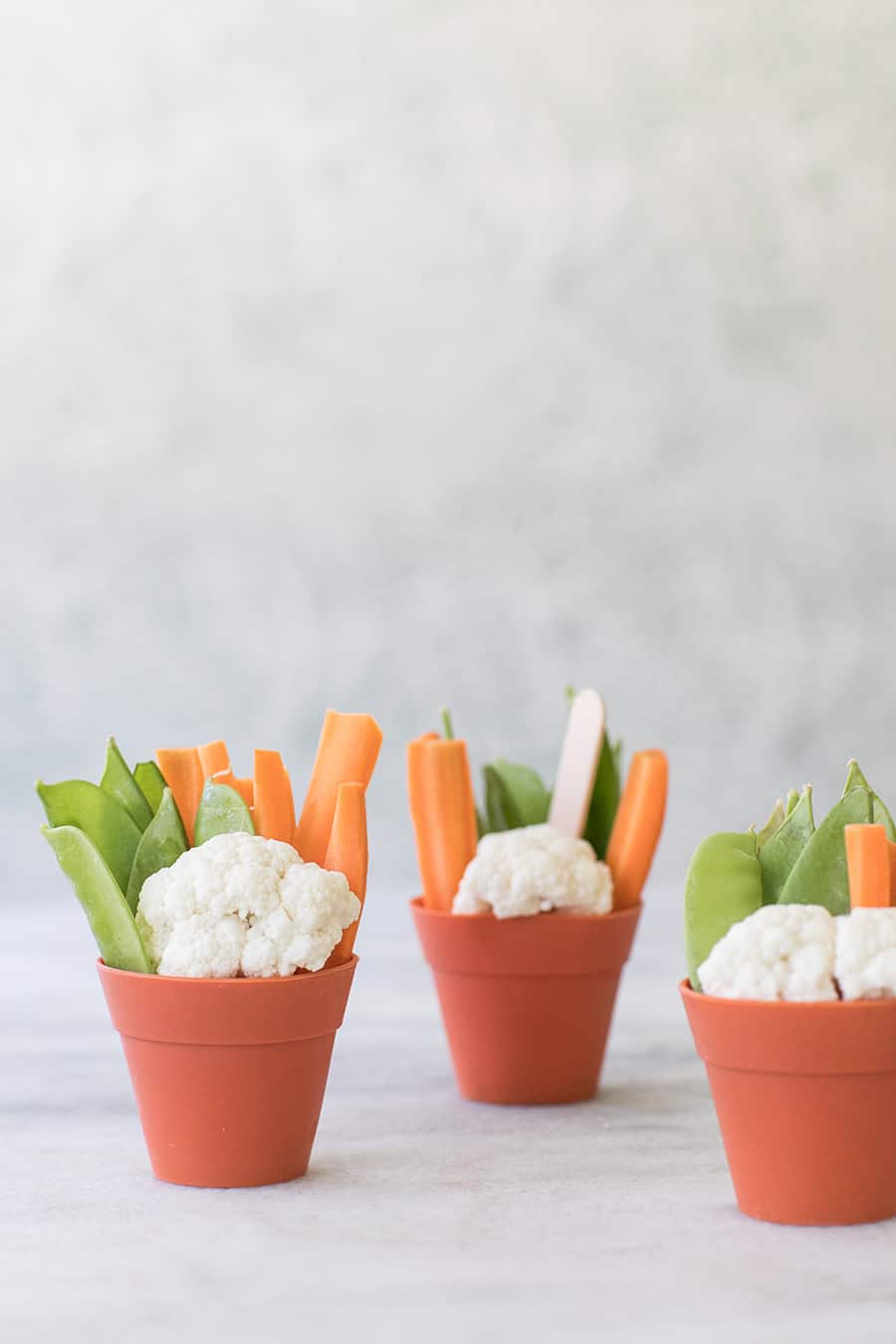 Cut vegetables in a silicone flower pot with hummus on the bottom.