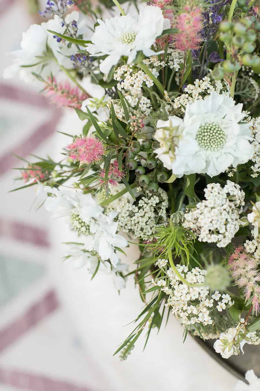 Close-up photo of flowers and greens.