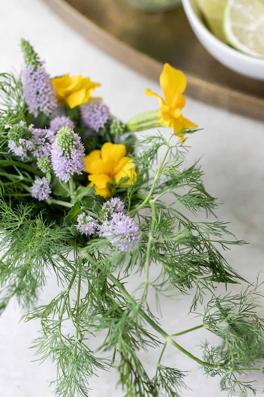 Close up of fresh dill