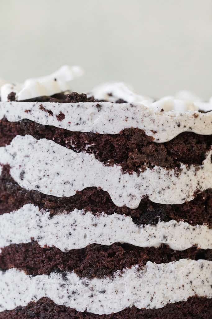 Close up photo of chocolate cake layers with vanilla frosting.