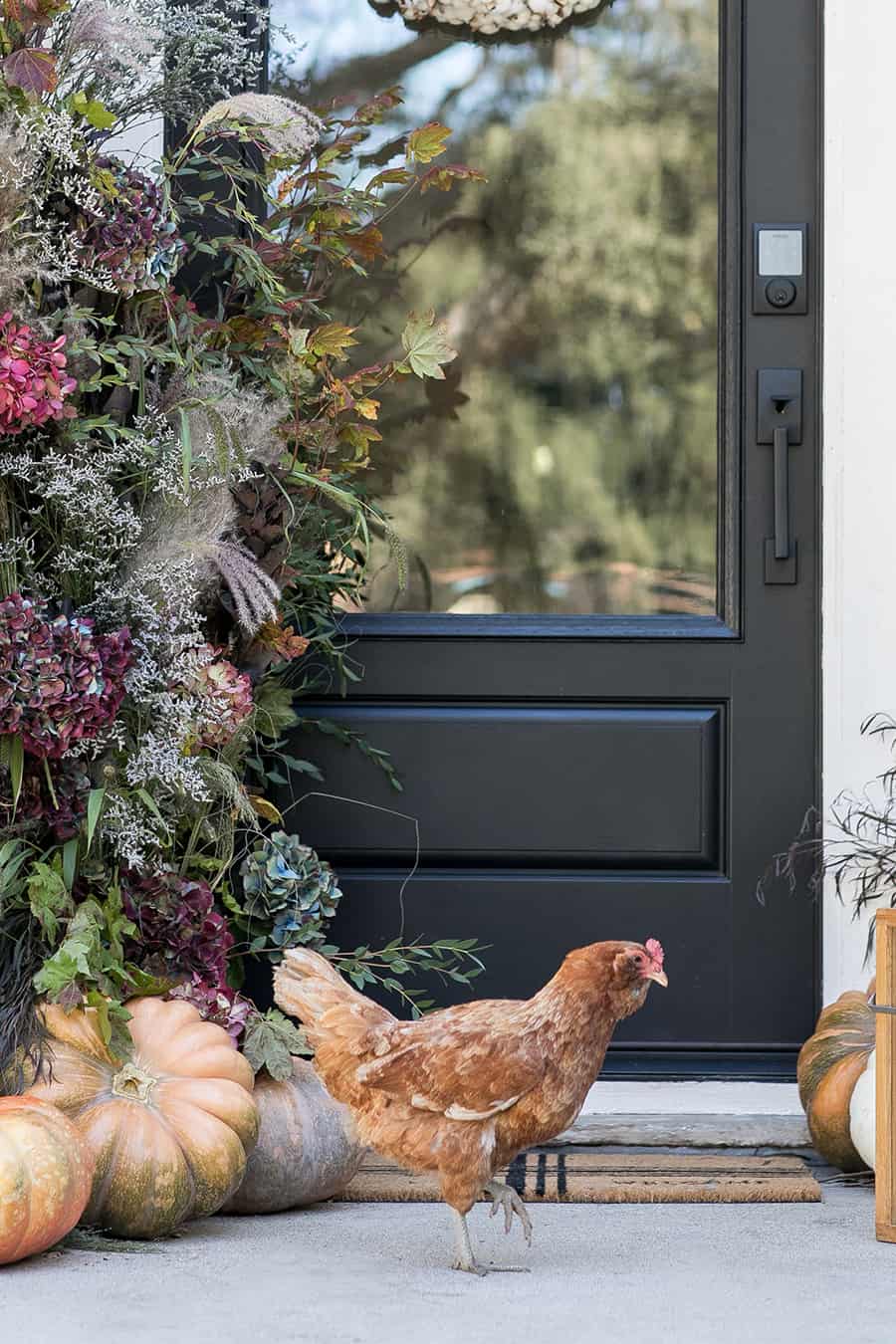 Chicken on front porch for fall