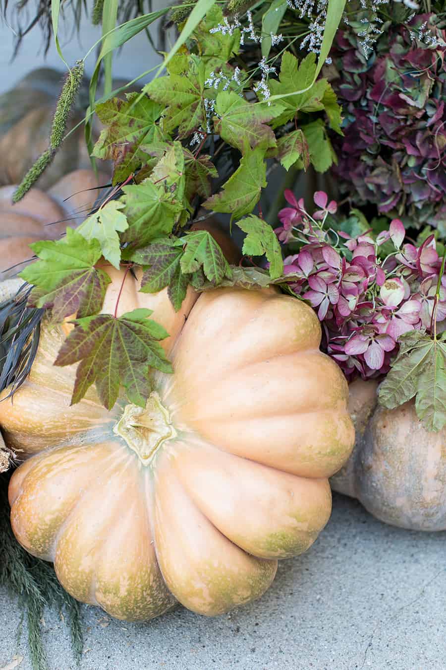 Fairytale pumpkin with flowers