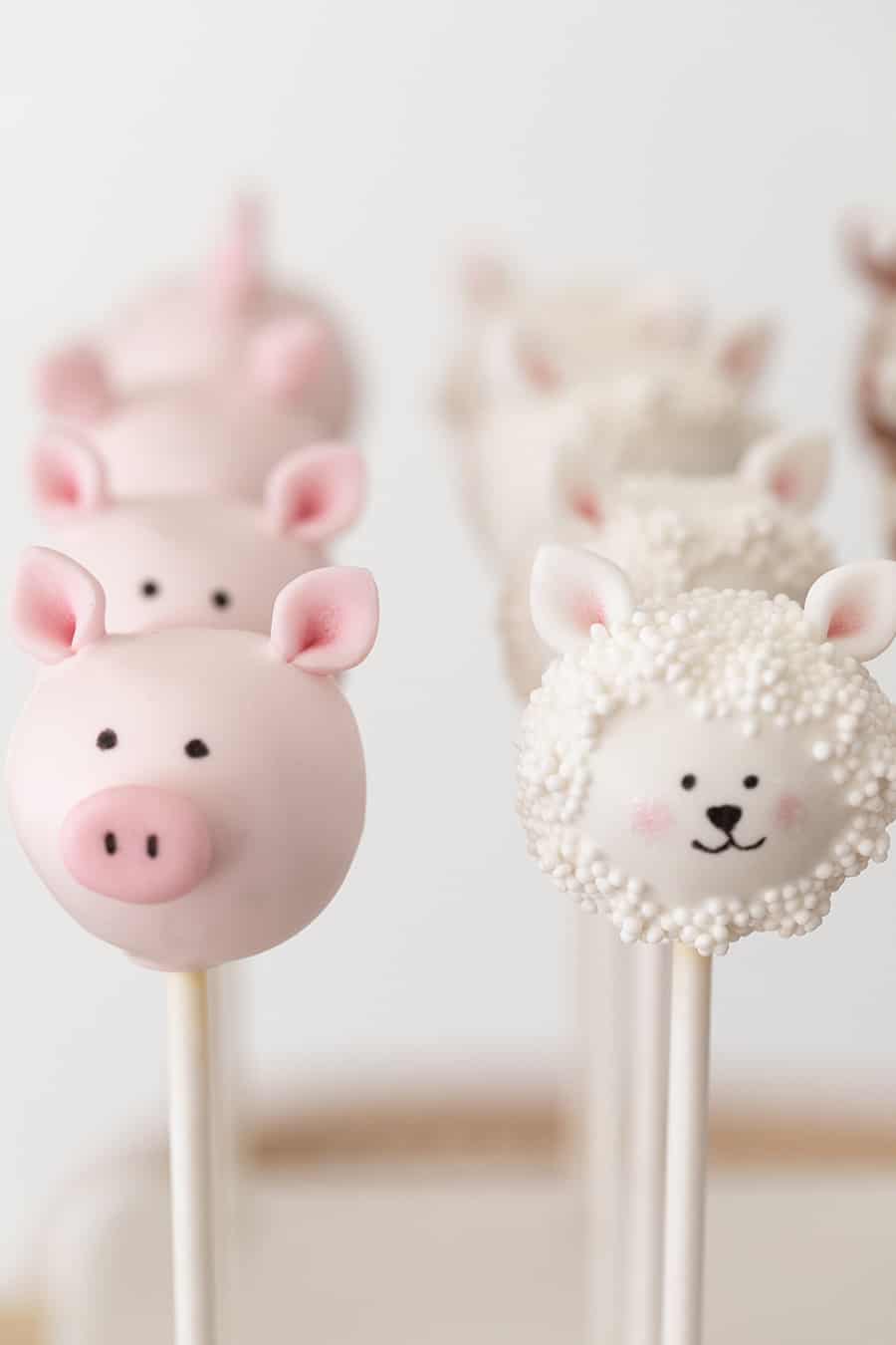 pig and lamb cake pops 