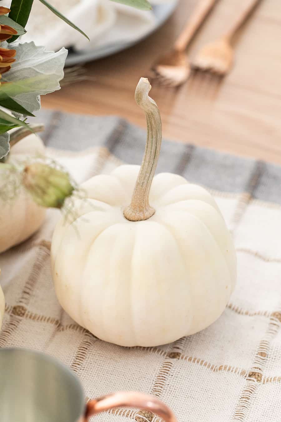 White pumpkin for easy Thanksgiving decor.