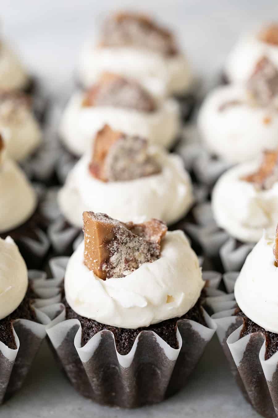 close up of cupcakes made from the chocolate cupcakes recipe