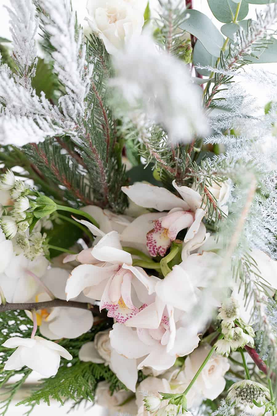 Close up of flowers 