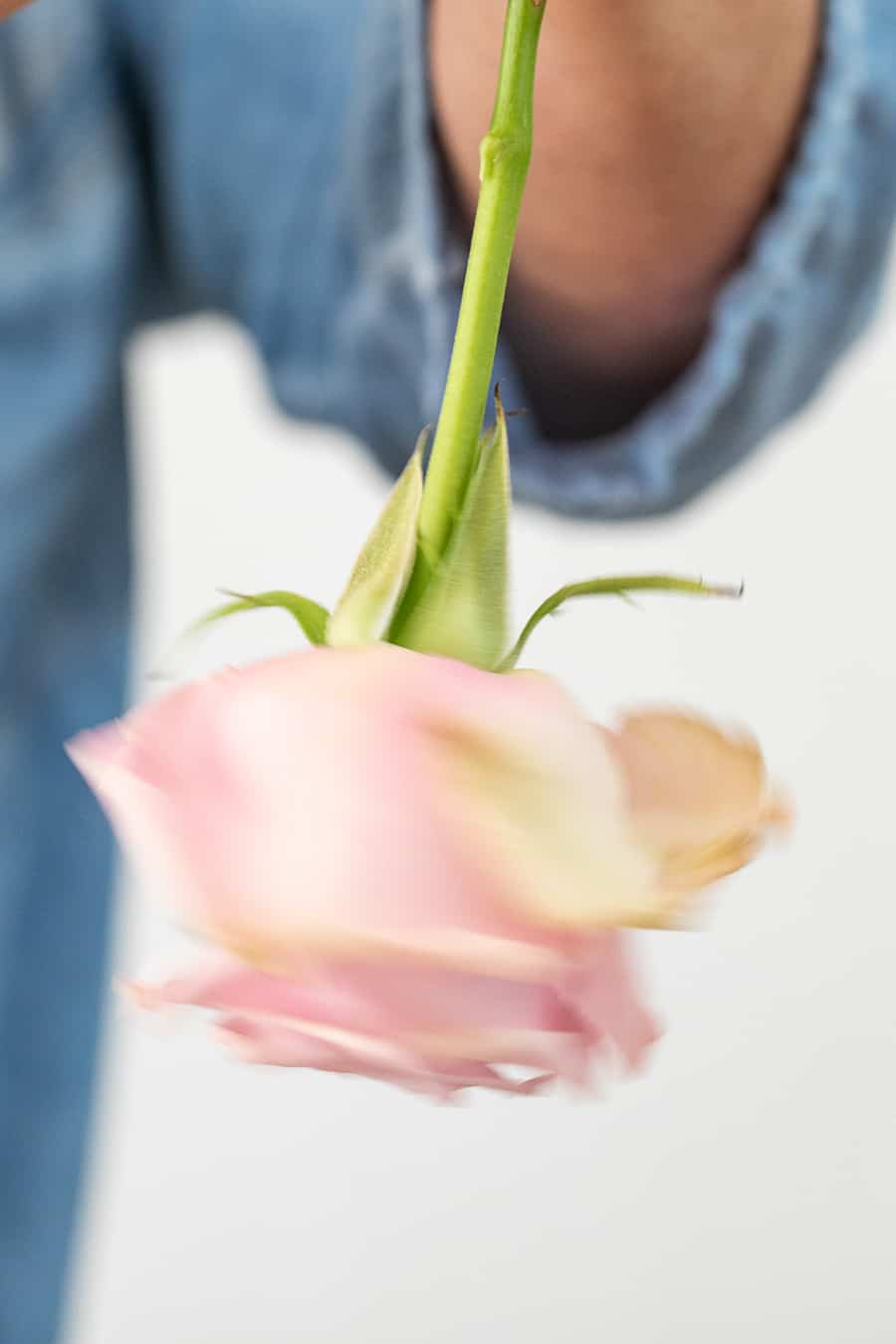 flower being spun upside down