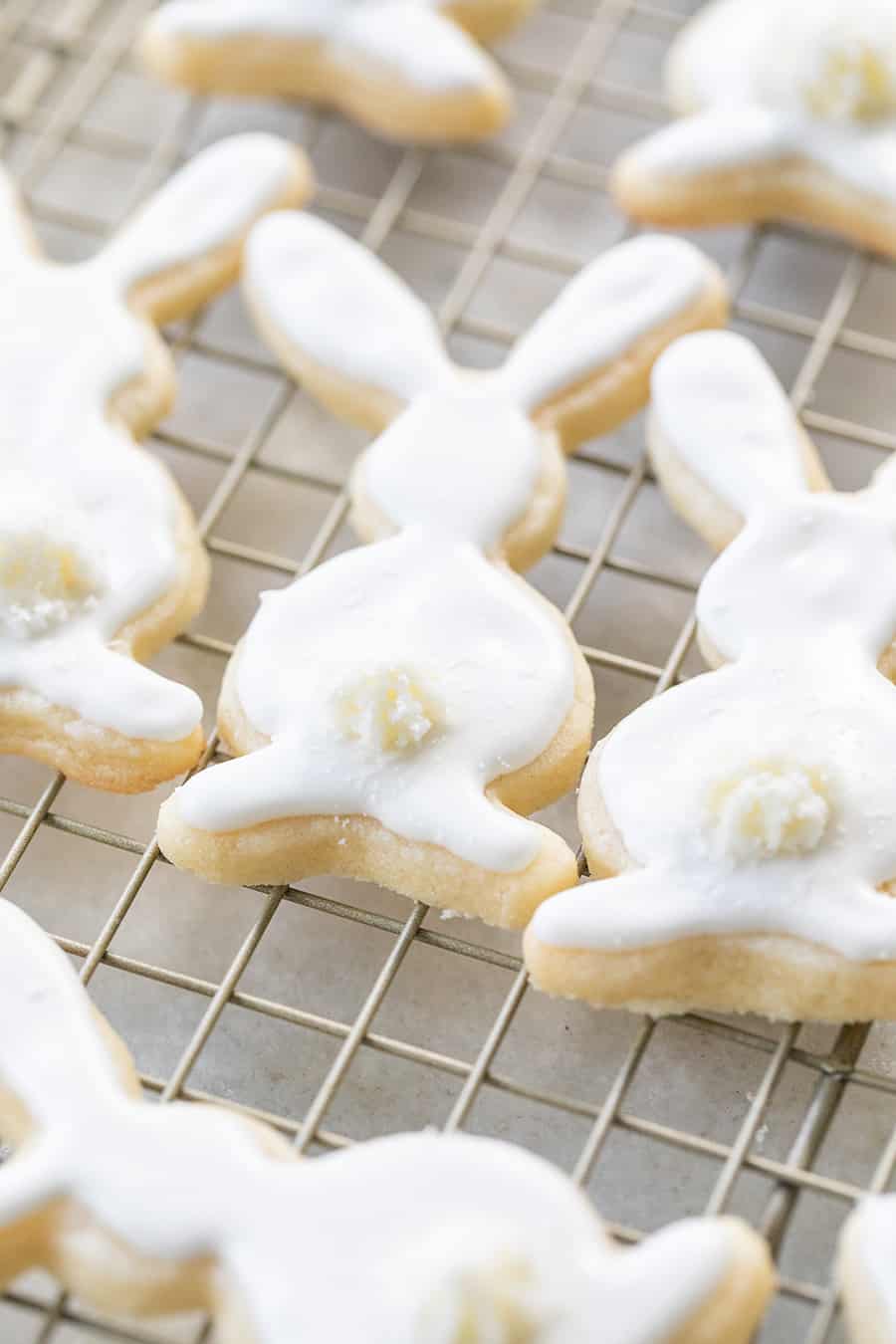 Adorable sugar cookie bunnies, frosted with royal icing and a buttercream tail.