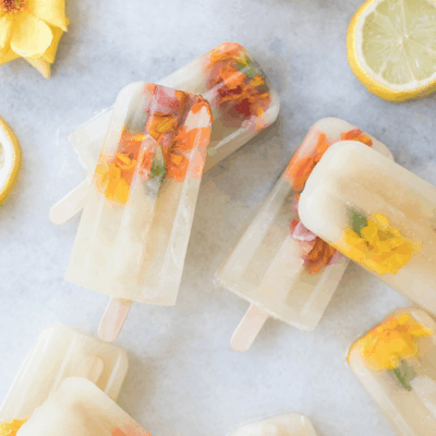 10 Delicious Popsicle Recipes for Summer!