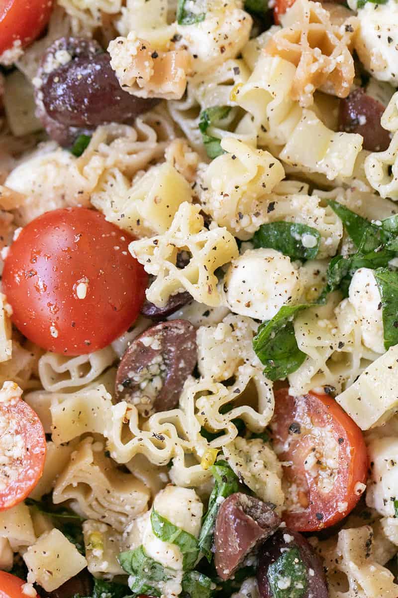 Summer Pasta Salad Recipe with tomatoes, olives, garlic, cheese and basil.