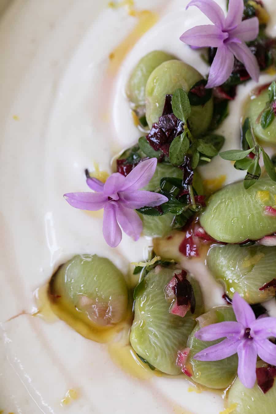 tahini yogurt dup with lima beans and thyme