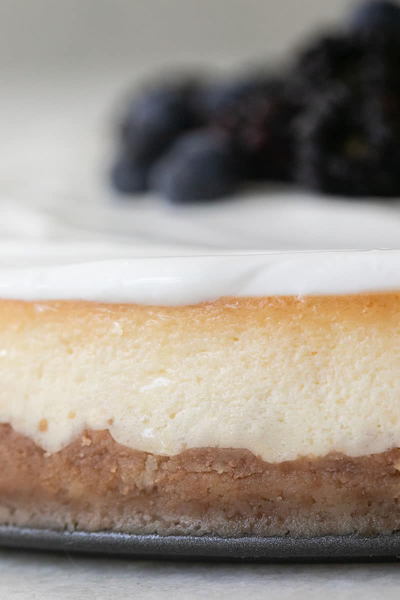 Close-up photo of ricotta cheesecake with layers of Nilla cookie crust and a sour cream topping.