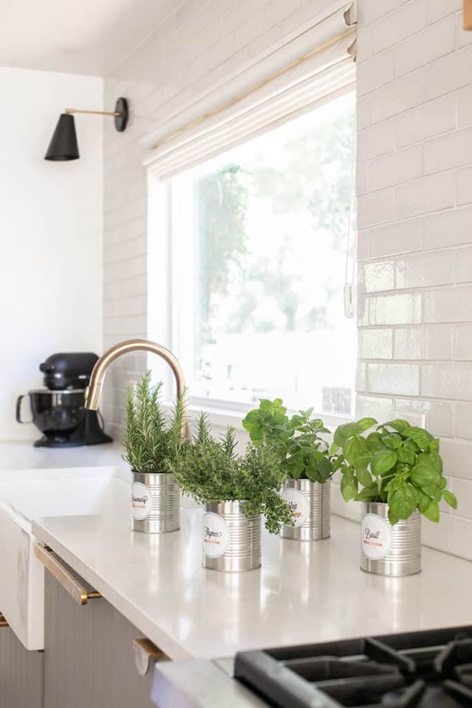 How To Start an DIY Indoor Herb Garden - Sugar and Charm