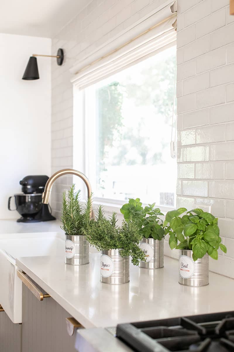 DIY indoor herb gardens in tin cans.