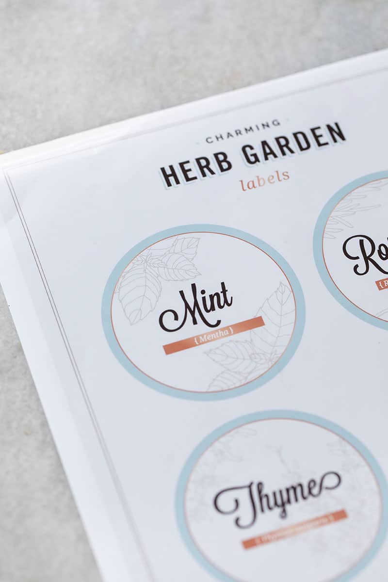 Free herb garden labels to add to an indoor herb garden.