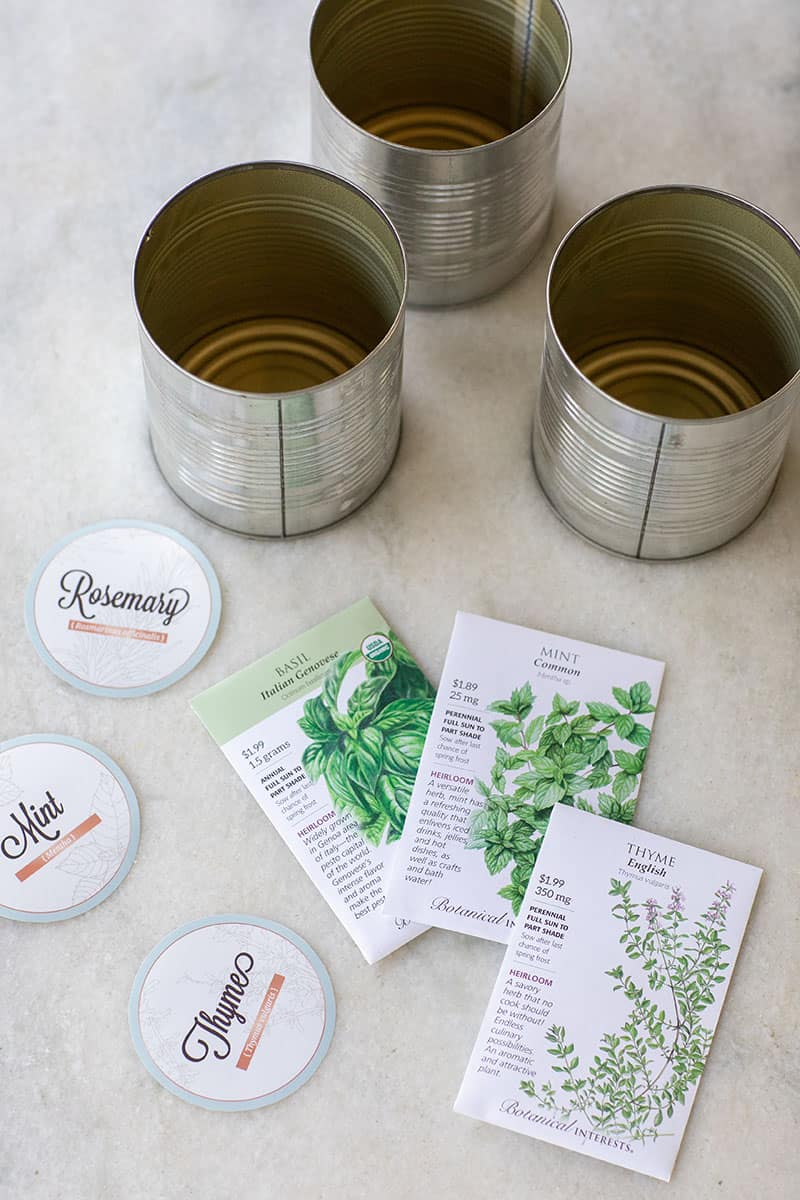 DIY Indoor Herb garden in tin cans with seeds and rosemary