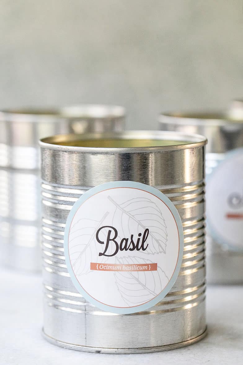 Free herb garden labels on a tin can for herb garden kits