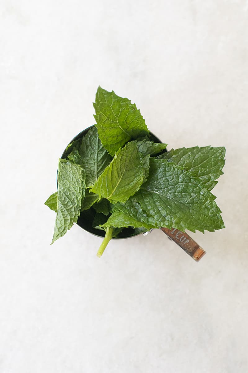 Fresh mint in a measuring cup on a marble table. 