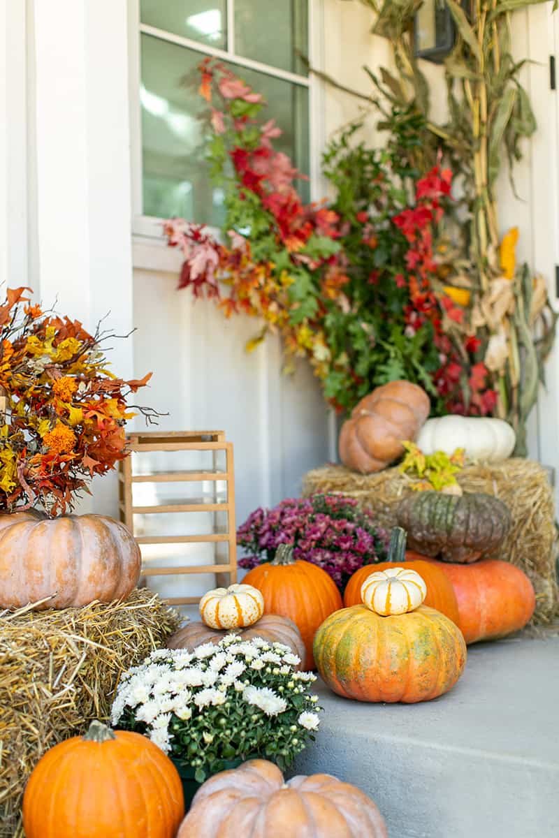 Stunning fall porch filled with pumpkins.