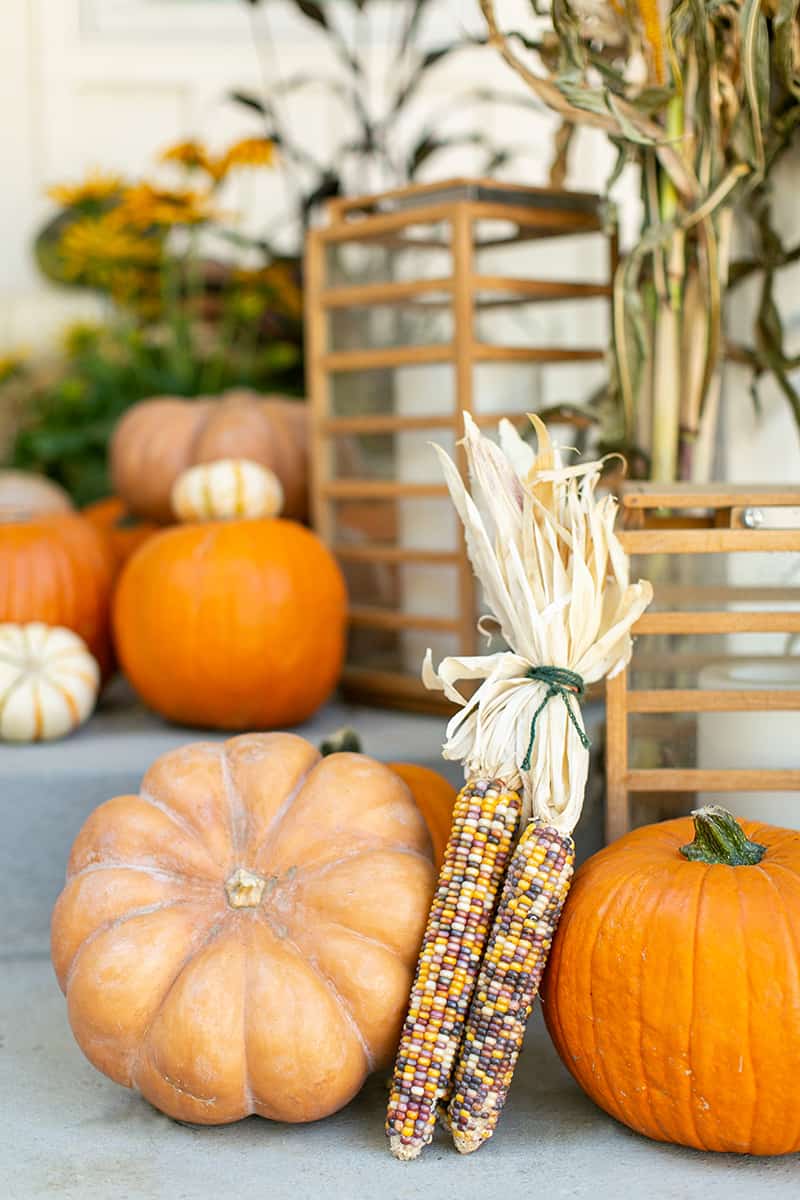 Indian corn - hay bale, autumn porch, fall decorations, fall arrangement