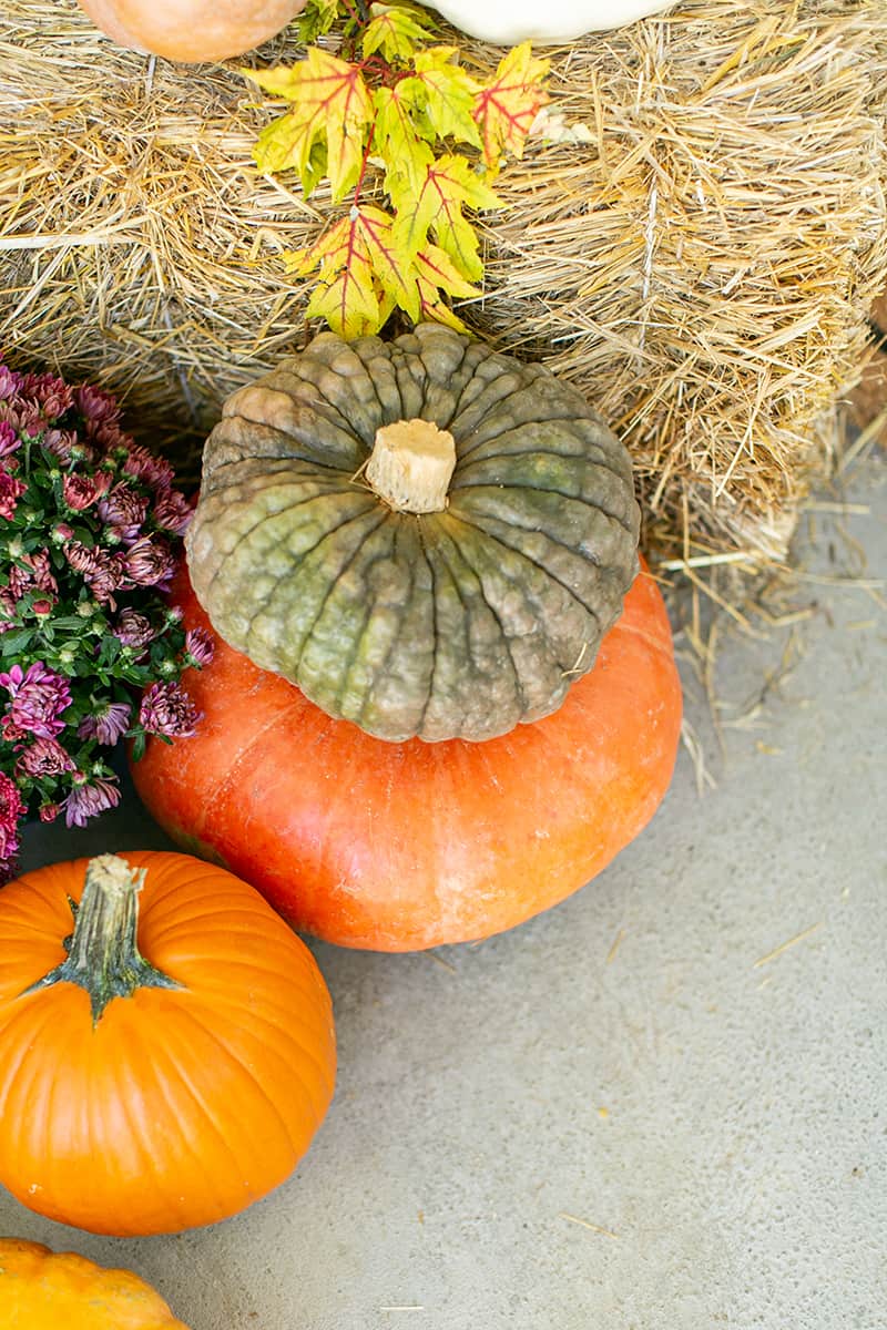 Fairytale green pumpkin for fall  - hay bales