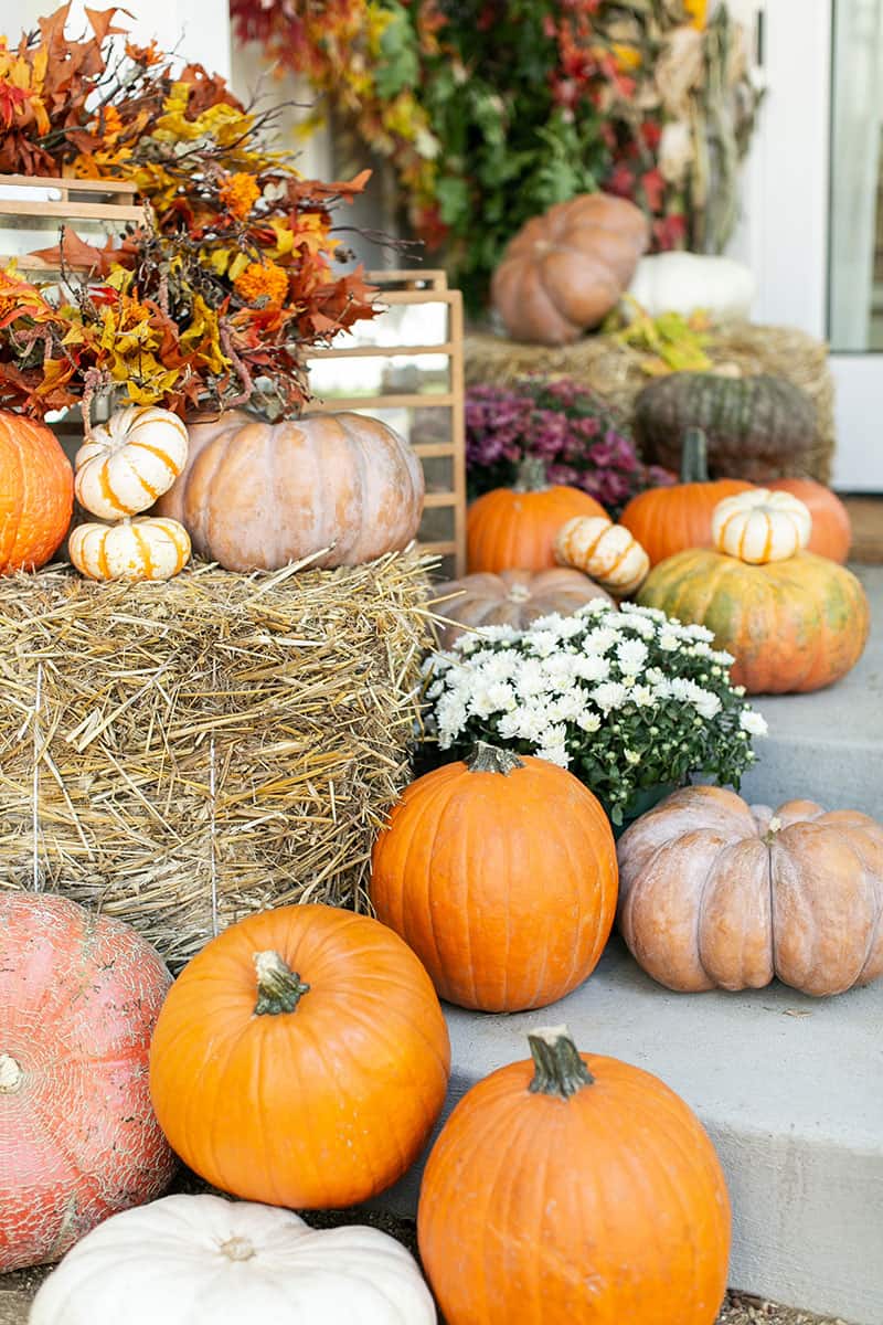 Pumpkins and mums on a porch