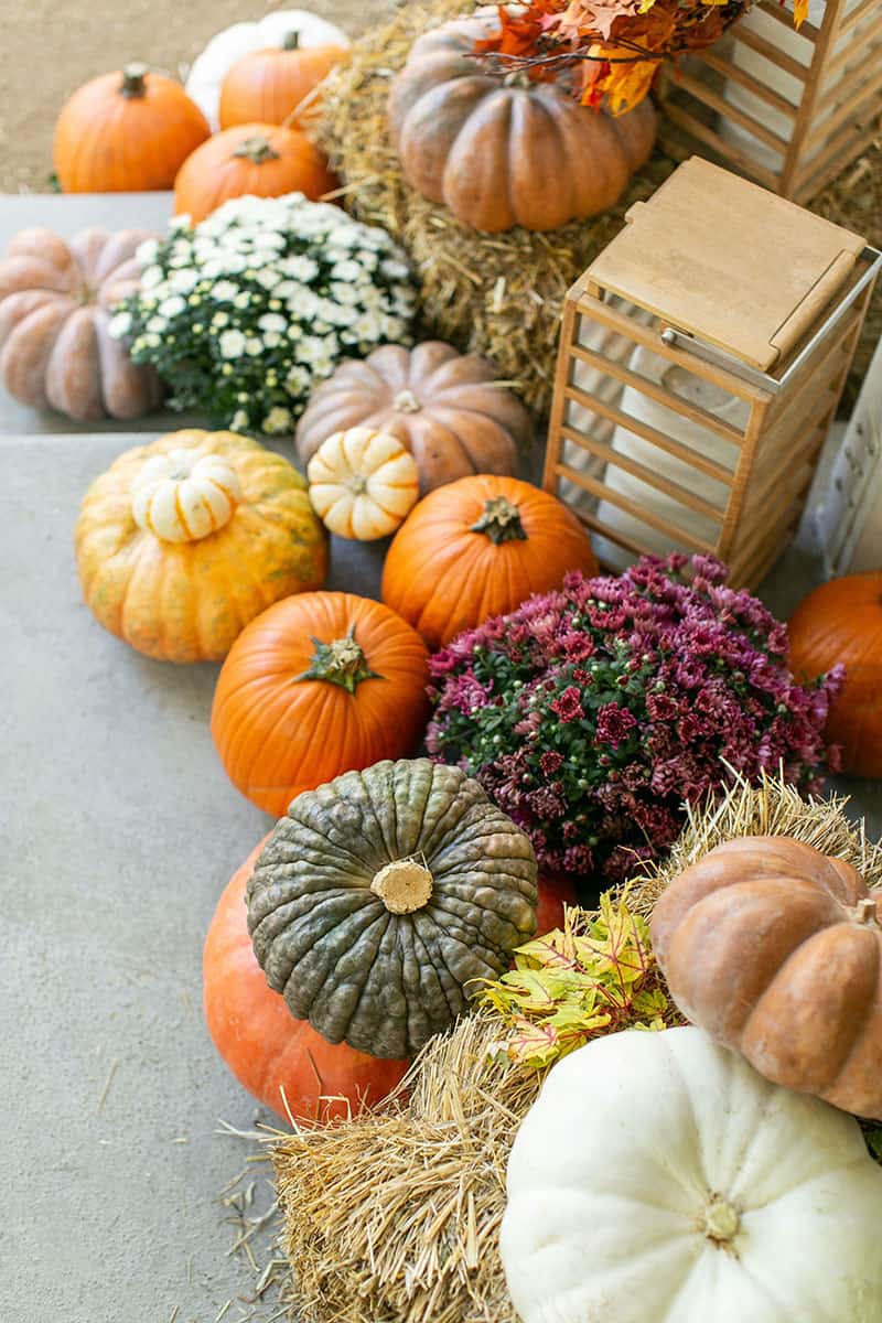 An array of colored pumpkins on a fall porch with hay bales