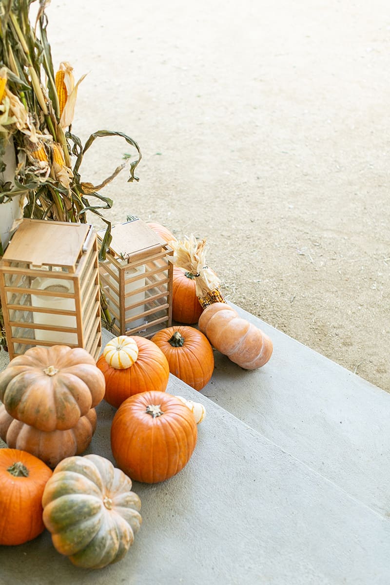 Pumpkins going down stairs on a porch