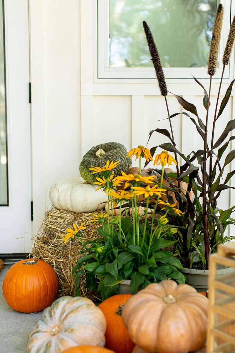 pumpkins and flowers on a fall porch