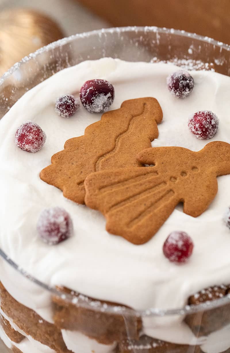 Gingerbread cookies on a trifle.