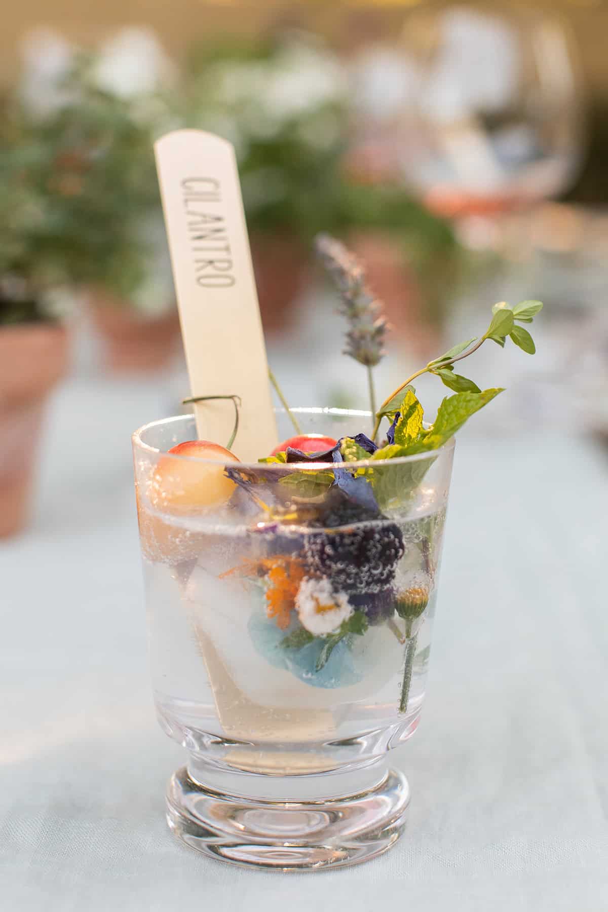 Garden gin and tonic recipe.