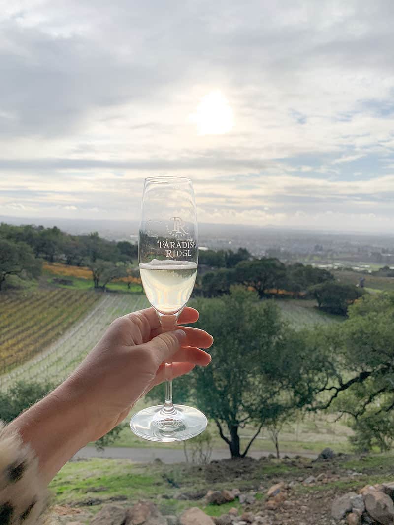 Glass of bubbles at Paradise Ridge Winery in Santa Rosa 