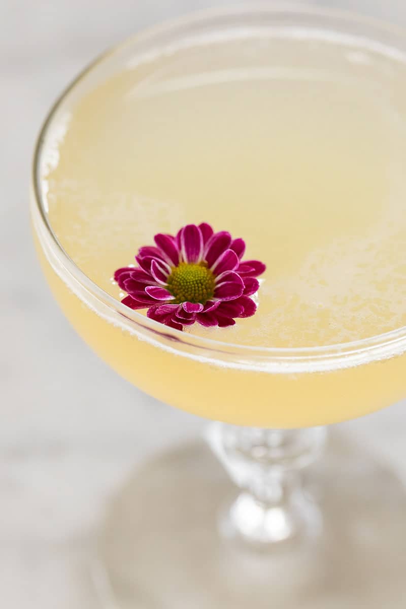 yellow cocktail in a coupe glass with a tiny purple flower.