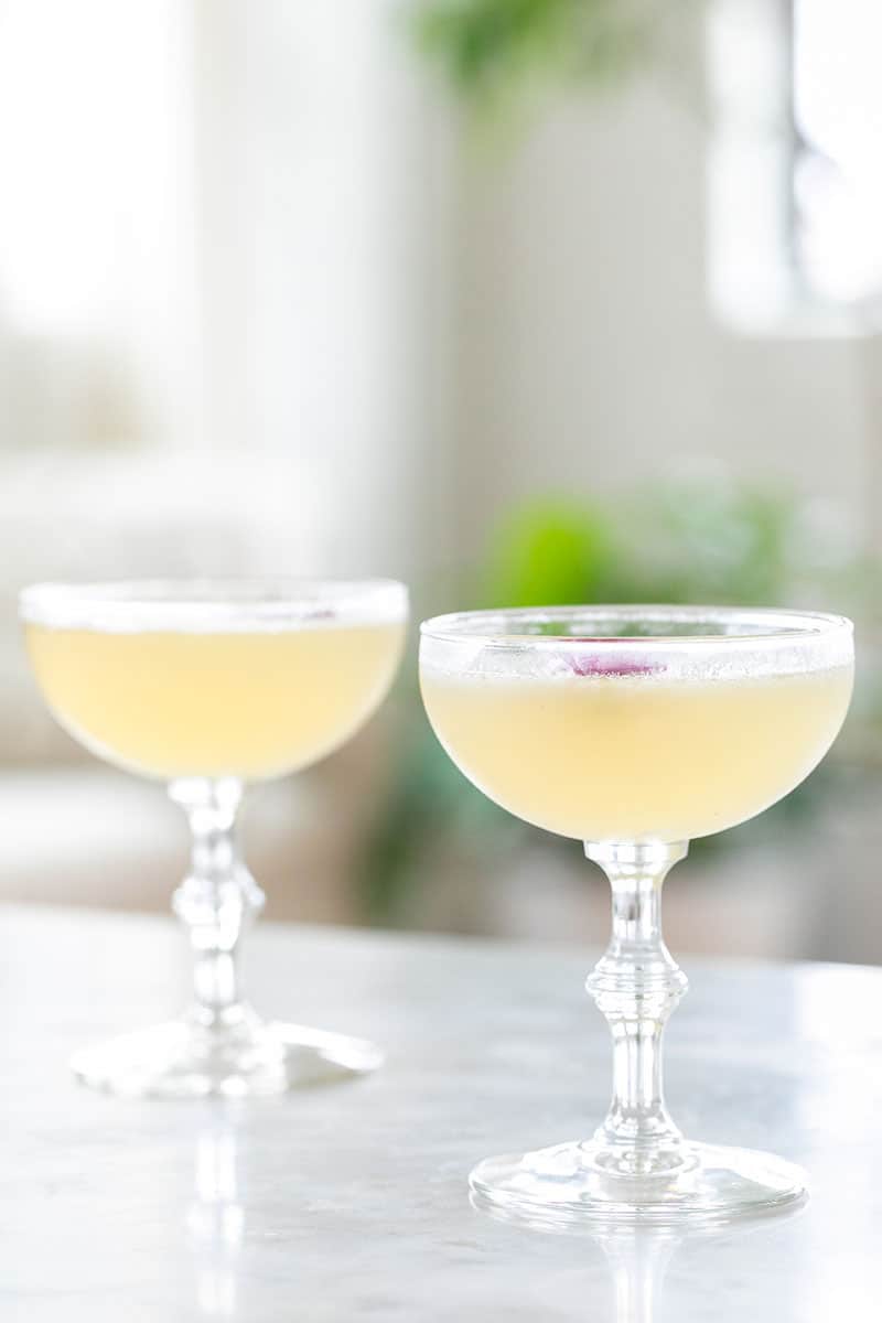 A bee's knees cocktail in a coupe glass.