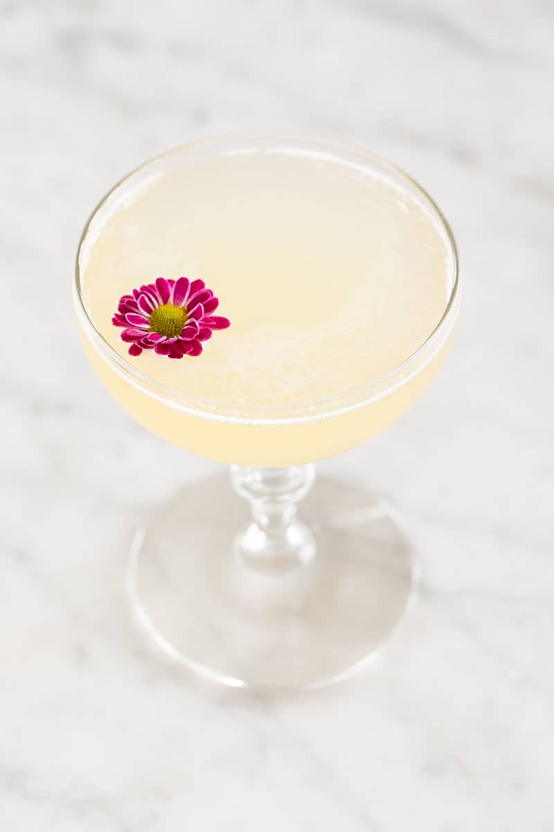 A bee's knees cocktail in a coupe with a purple flower floating on top.