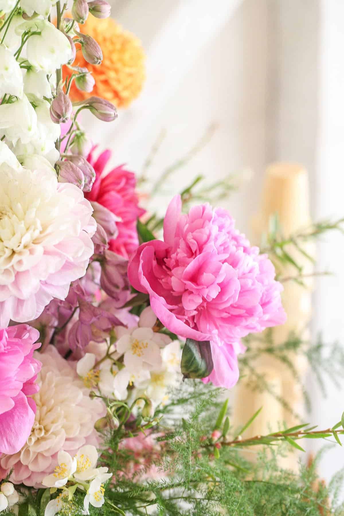 Colorful pink flowers.