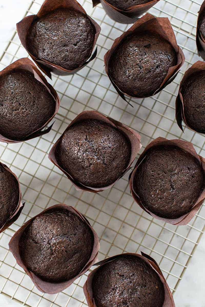 The best chocolate cupcake recipe on a cooling rack.