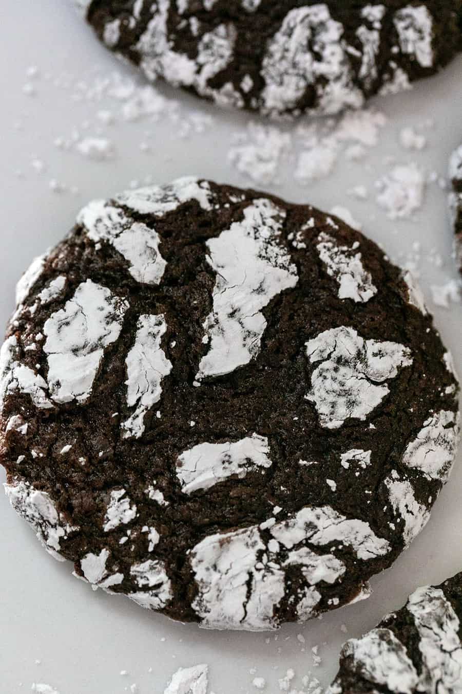 Chocolate crinkle cookie closeup 